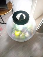 Terrarium met  tropische pissebedden, Dieren en Toebehoren, Ophalen of Verzenden