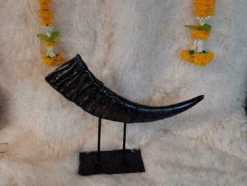 Prachtige Waterbuffel Hoorn op Luxe Stalen Voet beschikbaar voor biedingen