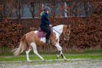 Zeer unieke en knappe bonte allround D pony!!️, Dieren en Toebehoren, Pony's, B, Gechipt, Ruin, Dressuurpony