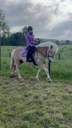 Mooie halflinger ruin te koop, Dieren en Toebehoren, Paarden, Gechipt, Minder dan 160 cm, Ruin, Zadelmak