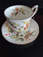 Winter Duchess porselein, Verzamelen, Porselein, Kristal en Bestek, Ophalen of Verzenden, Gebruikt, Porselein, Kop en/of schotel