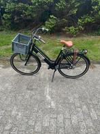 Bsp barista Damesfiets transportfiets, Overige merken, Versnellingen, Zo goed als nieuw, 56 cm of meer