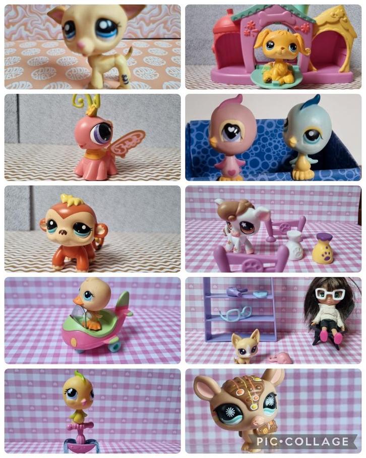 Littlest Pet shop LPS Hasbro honden vogels Blythe, Kinderen en Baby's, Speelgoed | Actiefiguren, Gebruikt, Ophalen of Verzenden
