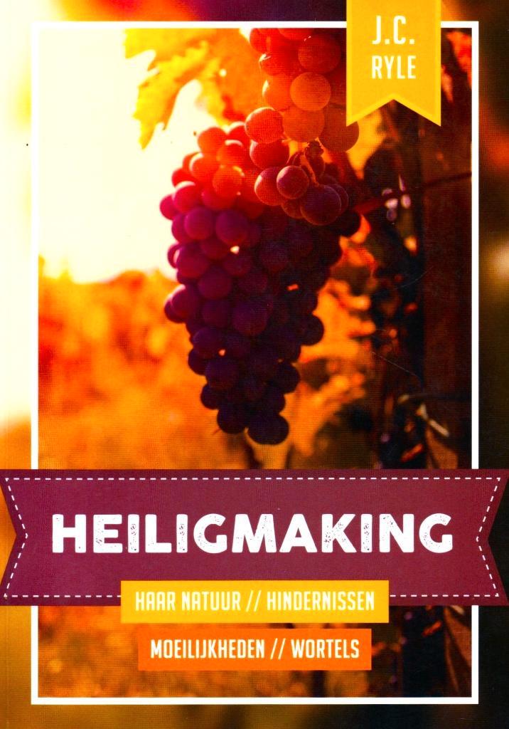 Heiligmaking - J.C. Ryle & D.M. Lloyd-Jones / 9789463350174, Boeken, Godsdienst en Theologie, Zo goed als nieuw, Ophalen of Verzenden