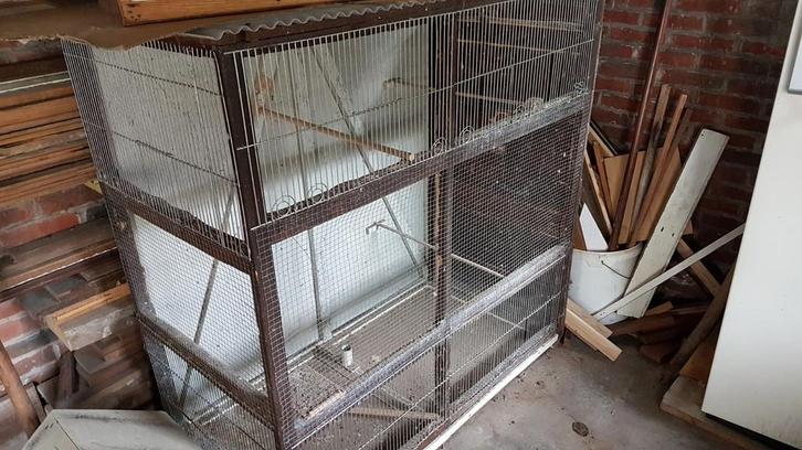Volière 120x120x60 voor kleine vogels, Dieren en Toebehoren, Vogels | Hokken en Kooien, Gebruikt, Volière, Hout, Ophalen