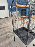 Mooie papagaaien kooi, Dieren en Toebehoren, Vogels | Parkieten en Papegaaien, Meerdere dieren, Dwergpapegaai of Agapornis