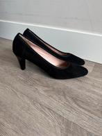Mauro Teci Suède Pumps - Nieuw!, Kleding | Dames, Schoenen, Ophalen of Verzenden, Nieuw, Zwart, Pumps