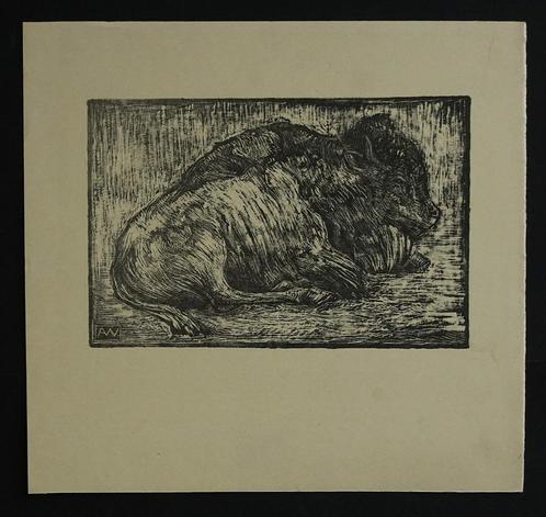 Prachtige gave litho Bizon van A. Wirtz, Anto Wirtz, 1872 _, Antiek en Kunst, Kunst | Litho's en Zeefdrukken, Ophalen of Verzenden