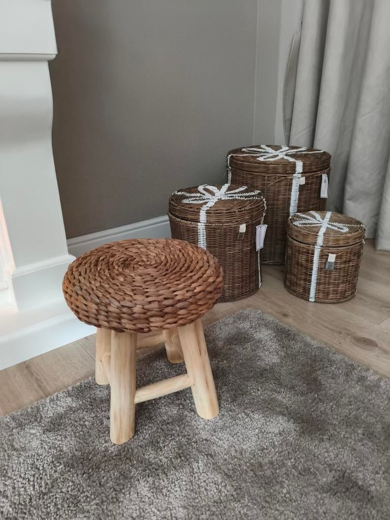 Krukje decoratie waterhyacint, Ophalen of Verzenden, Nieuw
