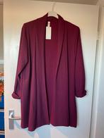 Nieuwe donkerrode vest van new collection 46/48/50, Verzenden, Trui of Vest, Nvt, Nieuw