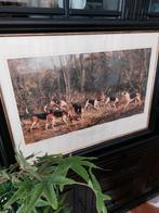Leuke klassieke look honden prent in lijst. 60 x 80 cm, Ophalen