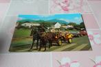 Postkaart - 2 Warmbloed Paarden voor Koets, Koenigswinter, Verzenden, 1960 tot 1980, Ongelopen, Paard