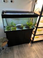 Aquarium Juwel Rio 180 compleet, Ophalen, Gebruikt, Leeg aquarium