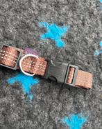 Bobby hondenhalsband bruin 40-60 cm, Ophalen of Verzenden, Gebruikt