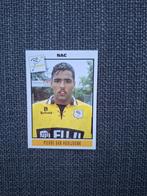 Panini Voetbal 94 Van Hooijdonk NAC, Verzamelen, Verzenden, Zo goed als nieuw, NAC Breda, Poster, Plaatje of Sticker