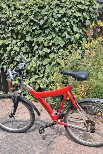 Gazelle Mountainbike rood Y-frame 56  beschikbaar voor biedingen