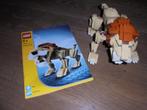 lego 4884 designer set leeuw, Ophalen of Verzenden, Zo goed als nieuw, Complete set, Lego