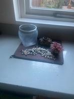 Vissenkom, Dieren en Toebehoren, Vissen | Aquaria en Toebehoren, Ophalen of Verzenden, Zo goed als nieuw