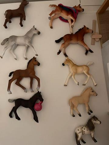 Schleich veulen  Collectie beschikbaar voor biedingen