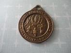 medaille Vlaams Nationale Bedevaart Antwerpen-Lourdes, Postzegels en Munten, Penningen en Medailles, Verzenden, Overige materialen