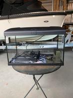 Aquarium 60-49-30. Met alle toebehoren, Dieren en Toebehoren, Ophalen, Zo goed als nieuw, Leeg aquarium