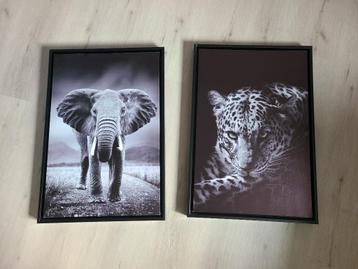 Zwart/wit wandecoratie wilde dieren beschikbaar voor biedingen