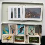 Plaatjes voor album Rizzla vloeitjes, Ophalen of Verzenden, Zo goed als nieuw, Sigarenbandjes