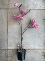 Magnolia boompje takken, Huis en Inrichting, Woonaccessoires | Kunstplanten en Kunstbloemen, Ophalen of Verzenden, Zo goed als nieuw