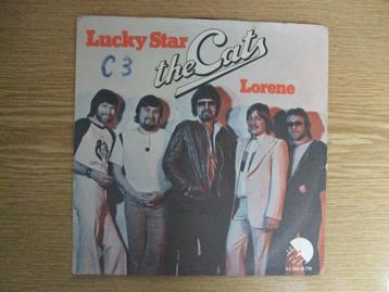 THE CATS    LUCKY STAR / LORENE  beschikbaar voor biedingen
