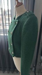 Zara jasje, Zara, Maat 42/44 (L), Nieuw, Ophalen of Verzenden