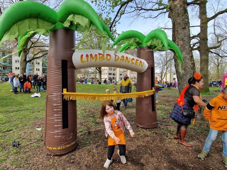 Limbo Dansen - Te Huur, Hobby en Vrije tijd, Feestartikelen | Verhuur, Gebruikt, Overige, Ophalen
