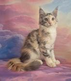 Prachtig maine coon poesje met stamboom polydactyl, Dieren en Toebehoren, Katten en Kittens | Raskatten | Langhaar, Poes, Gechipt