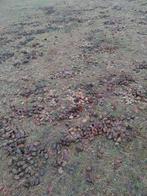 Mest gratis, Tuin en Terras, Ophalen of Verzenden