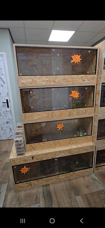 Actie! Complete terrariums voor spotprijzen  beschikbaar voor biedingen