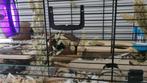 Hamster complete set, Ophalen, Gebruikt
