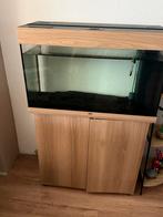 Aquarium juwel rio 125, Dieren en Toebehoren, Ophalen, Gebruikt, Leeg aquarium
