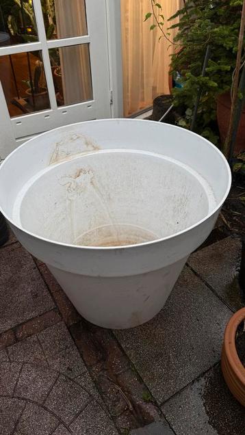 Grote witte plantenpot 80cm beschikbaar voor biedingen