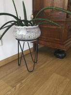 Plantenbak met steun, Tuin en Terras, Bloembakken en Plantenbakken, Ophalen, Steen, Gebruikt, Minder dan 60 cm