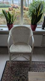 Wit rotan stoel, Ophalen, Gebruikt, Wit, Riet of Rotan