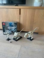 Lego Ideas 21320 Dinosaurus Fossielen, Ophalen of Verzenden, Zo goed als nieuw, 1:50 tot 1:144