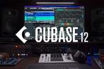 Steinberg Cubase 12 Pro DAW Music Production incl licentie, Ophalen of Verzenden, Nieuw, Windows