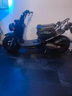 Honda nps50 zoomer, Ophalen of Verzenden, Overige modellen