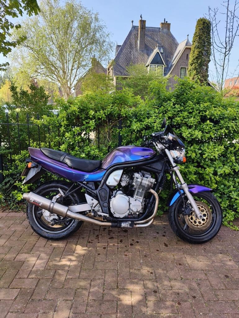 Suzuki Bandit 600 (2000) gsf600