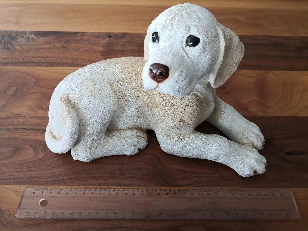Castagna Labrador Golden Retriever Puppy 1. 30 x 17 cm, Ophalen of Verzenden, Zo goed als nieuw, Dier