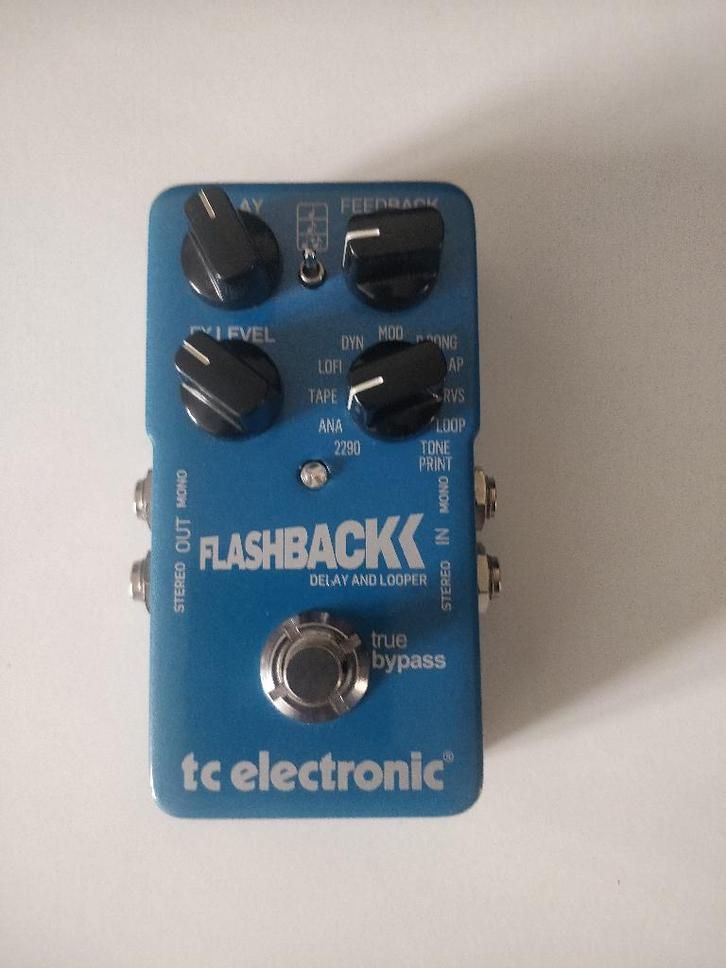 Flashback Delay TC Electrinic, Muziek en Instrumenten, Effecten, Zo goed als nieuw, Delay of Echo, Ophalen