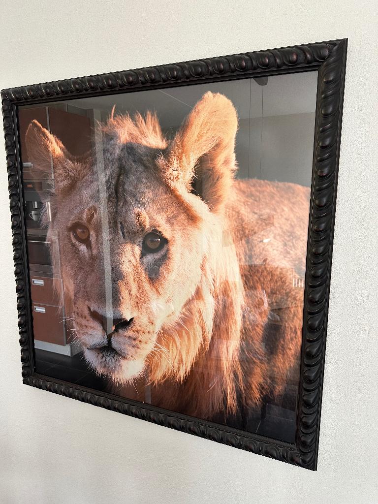 Mooie wissellijst inclusief foto, Ophalen, Zo goed als nieuw, 100 tot 125 cm, 75 cm of meer