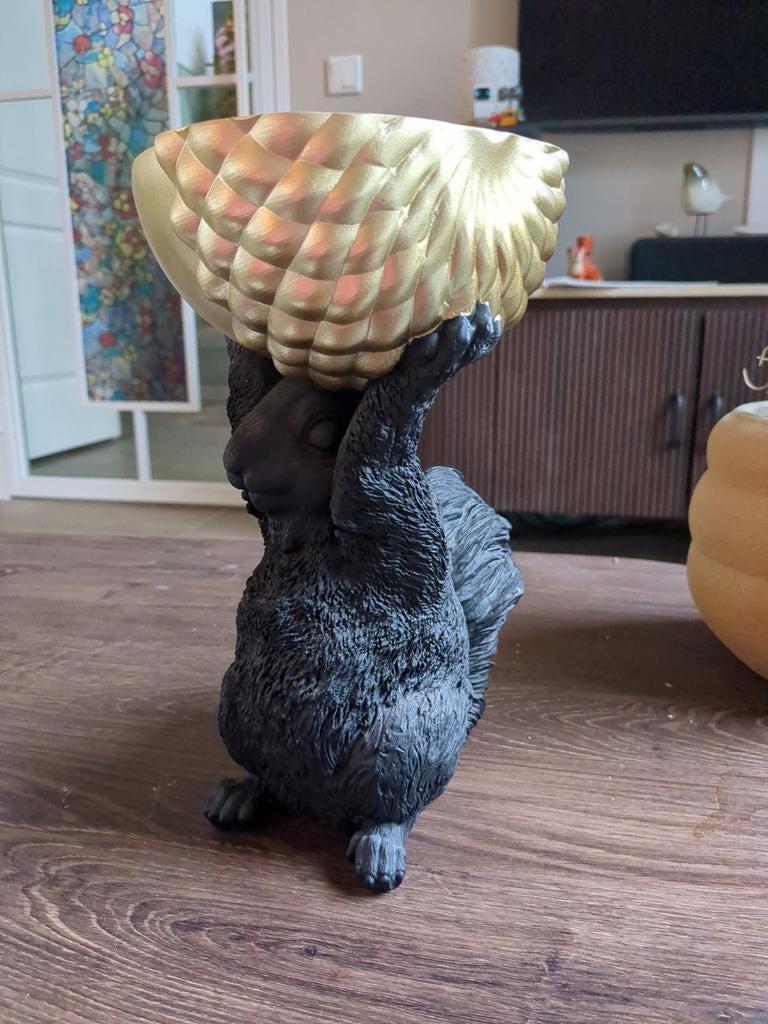 Eekhoorn met bakje, Ophalen