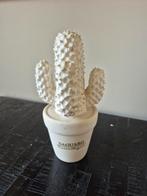Cactus beeldje, Ophalen, Zo goed als nieuw, Mens