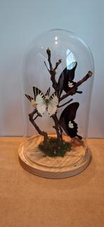 vlinders in stolp, Huis en Inrichting, Ophalen