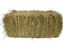 Te Koop: Goede kwaliteit hooi, kleine pakjes, Dieren en Toebehoren, Dierenvoeding, Ophalen of Verzenden, Vee